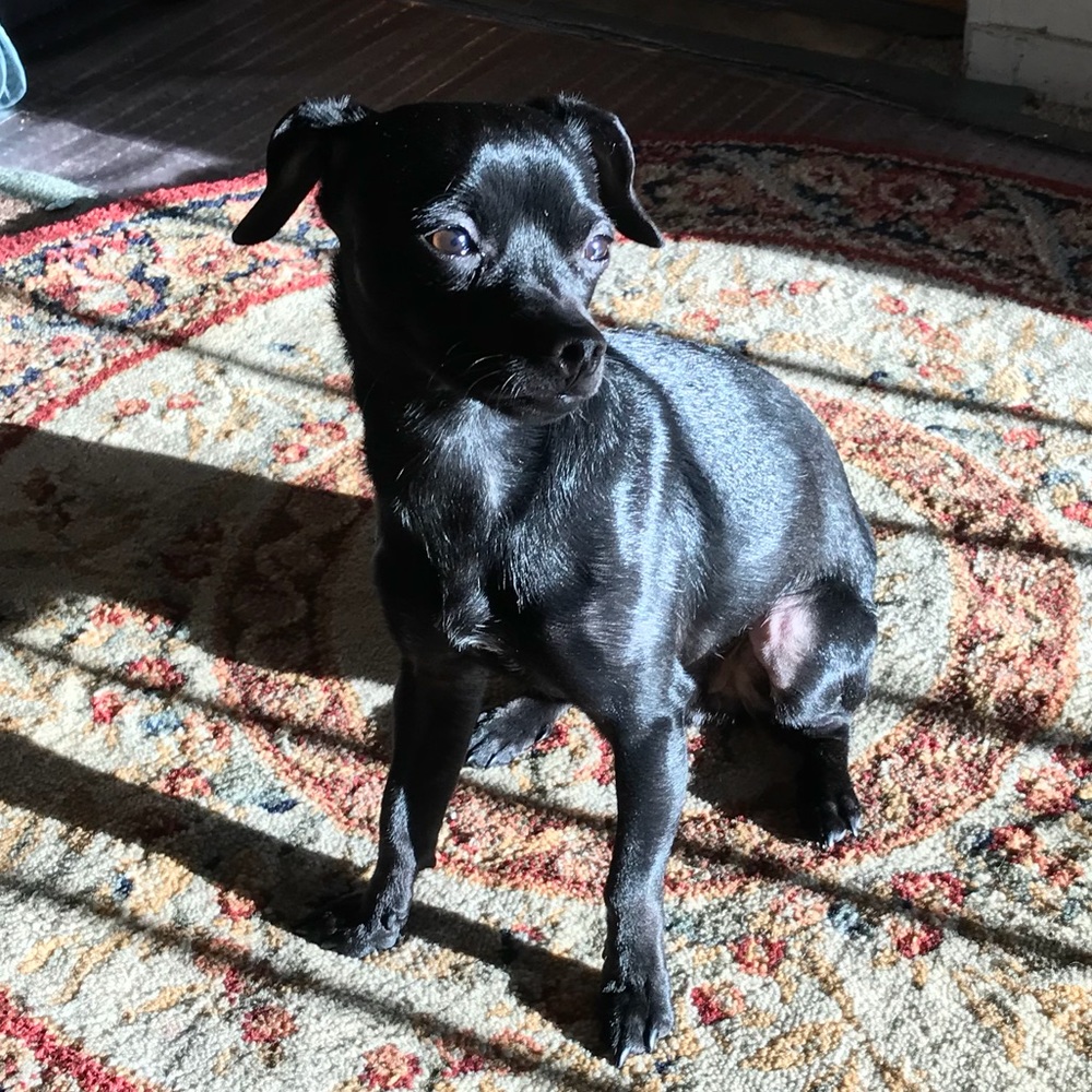 Meet your Posher, Maria